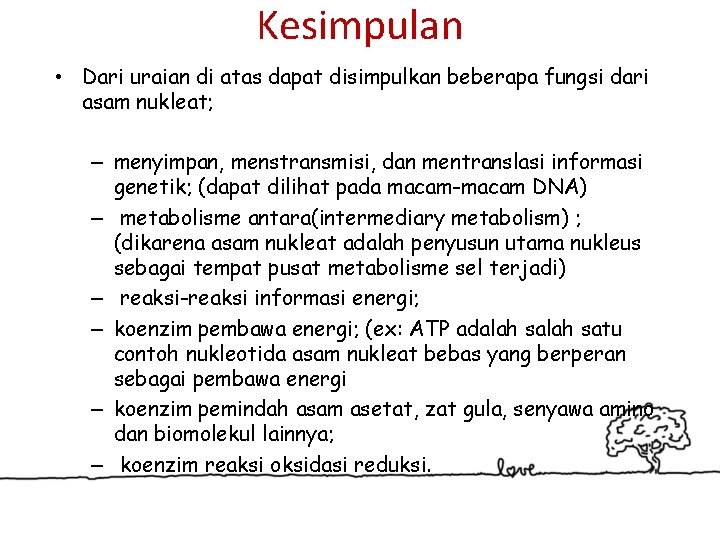 Kesimpulan • Dari uraian di atas dapat disimpulkan beberapa fungsi dari asam nukleat; –