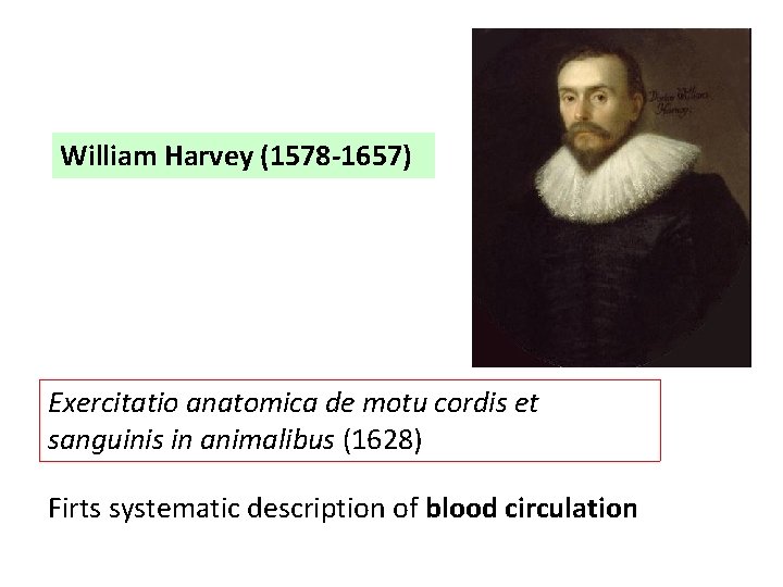 William Harvey (1578 -1657) Exercitatio anatomica de motu cordis et sanguinis in animalibus (1628)