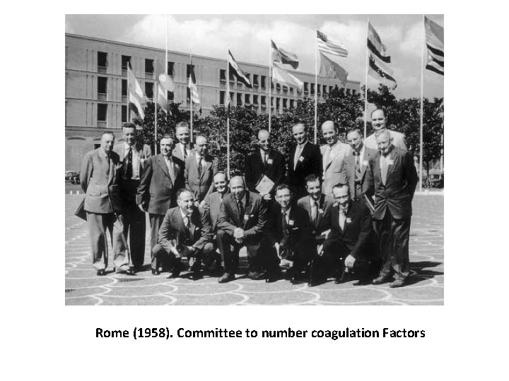 Rome (1958). Committee to number coagulation Factors 