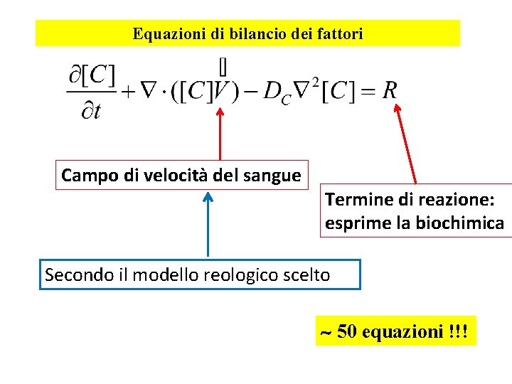 Equazioni di bilancio dei fattori Campo di velocità del sangue Termine di reazione: esprime