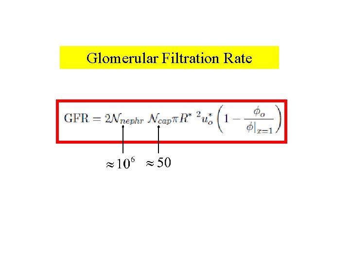 Glomerular Filtration Rate 