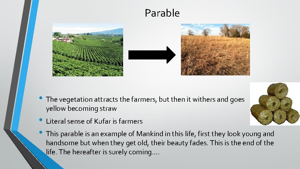 Parable • The vegetation attracts the farmers, but then it withers and goes yellow