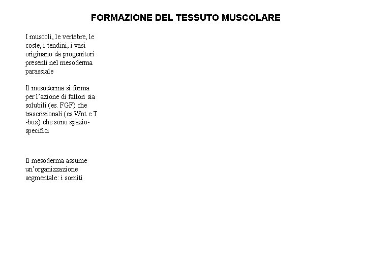 FORMAZIONE DEL TESSUTO MUSCOLARE I muscoli, le vertebre, le coste, i tendini, i vasi