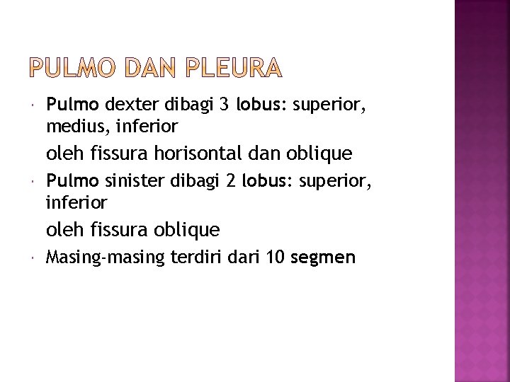  Pulmo dexter dibagi 3 lobus: superior, medius, inferior oleh fissura horisontal dan oblique