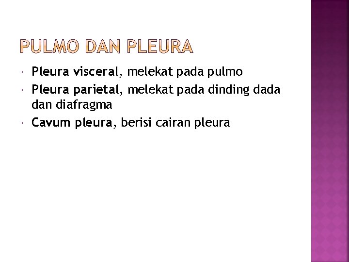  Pleura visceral, melekat pada pulmo Pleura parietal, melekat pada dinding dada dan diafragma