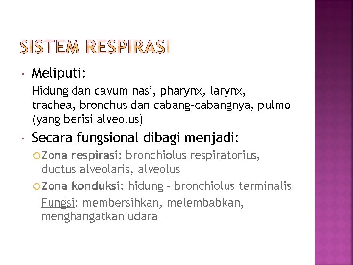  Meliputi: Hidung dan cavum nasi, pharynx, larynx, trachea, bronchus dan cabang-cabangnya, pulmo (yang