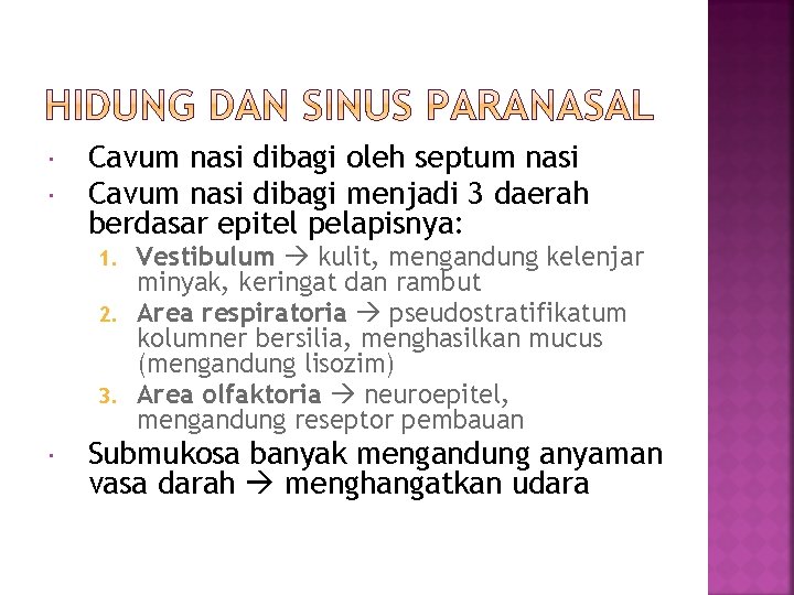  Cavum nasi dibagi oleh septum nasi Cavum nasi dibagi menjadi 3 daerah berdasar