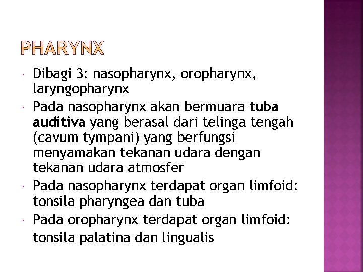  Dibagi 3: nasopharynx, oropharynx, laryngopharynx Pada nasopharynx akan bermuara tuba auditiva yang berasal