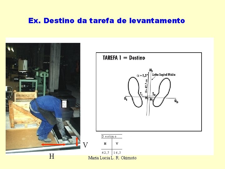 Ex. Destino da tarefa de levantamento V H Maria Lucia L. R. Okimoto 