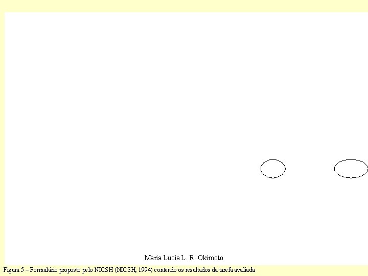 Maria Lucia L. R. Okimoto Figura 5 – Formulário proposto pelo NIOSH (NIOSH, 1994)