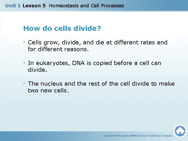 Unit 1 Lesson 5 Homeostasis and Cell Processes How do cells divide? • Cells