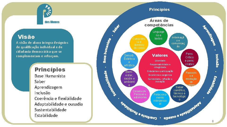 Princípios Áreas de competências Visão A visão de aluno integra desígnios de qualificação individual