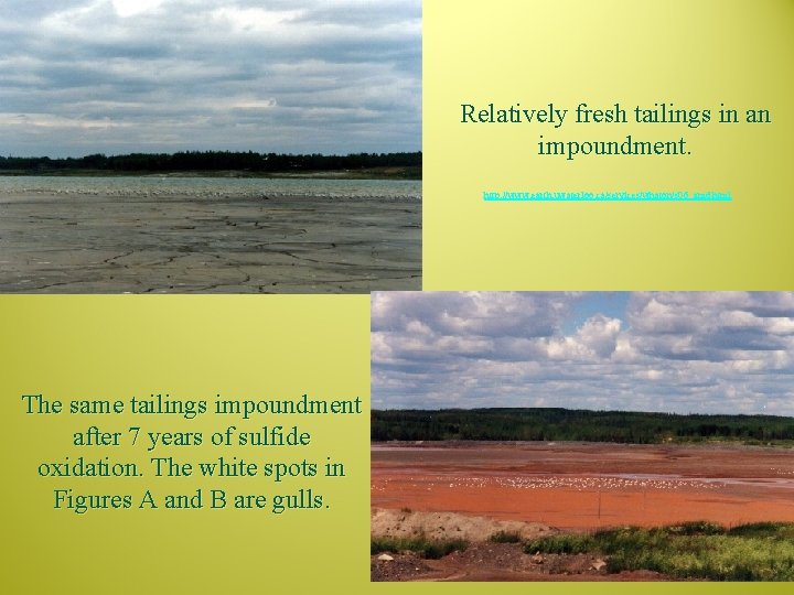 Relatively fresh tailings in an impoundment. http: //www. earth. uwaterloo. ca/services/whaton/s 06_amd. html The