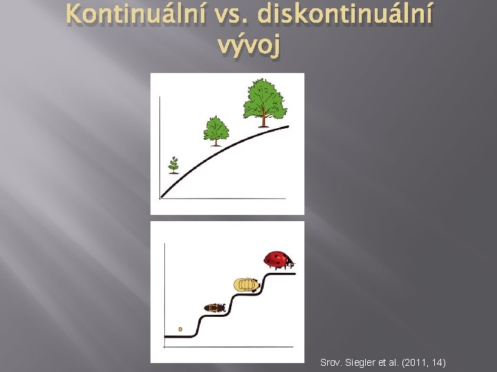 Kontinuální vs. diskontinuální vývoj Srov. Siegler et al. (2011, 14) 
