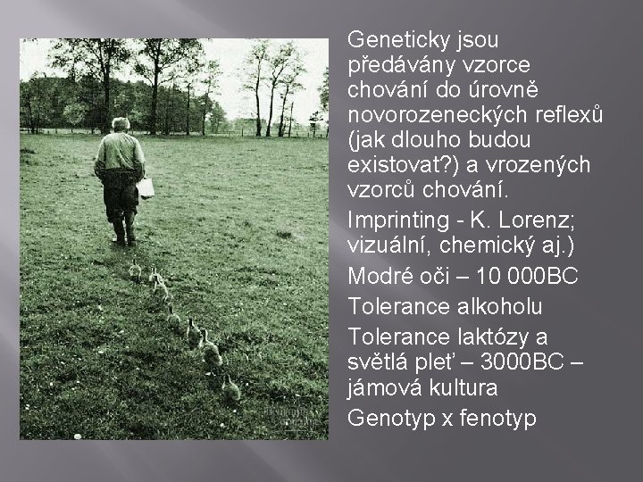 Geneticky jsou předávány vzorce chování do úrovně novorozeneckých reflexů (jak dlouho budou existovat? )