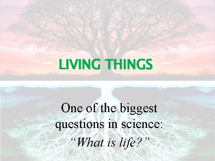 LIVING THINGS One of the biggest questions in science: “What is life? ” 