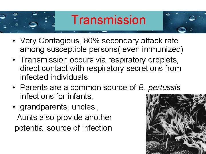 Transmission Powerpoint Templates • Very Contagious, 80% secondary attack rate among susceptible persons( even