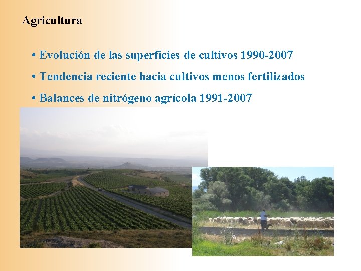 Agricultura • Evolución de las superficies de cultivos 1990 -2007 • Tendencia reciente hacia