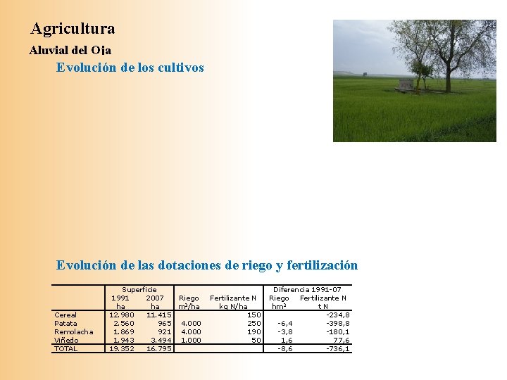 Agricultura Aluvial del Oja Evolución de los cultivos Evolución de las dotaciones de riego