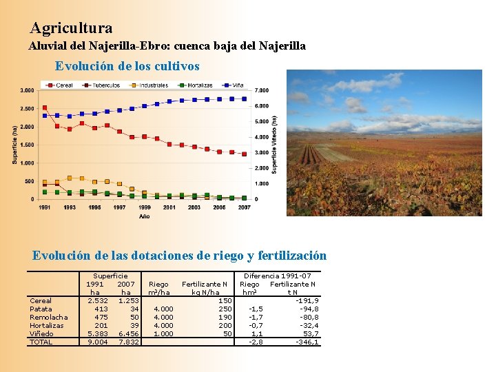 Agricultura Aluvial del Najerilla-Ebro: cuenca baja del Najerilla Evolución de los cultivos Evolución de