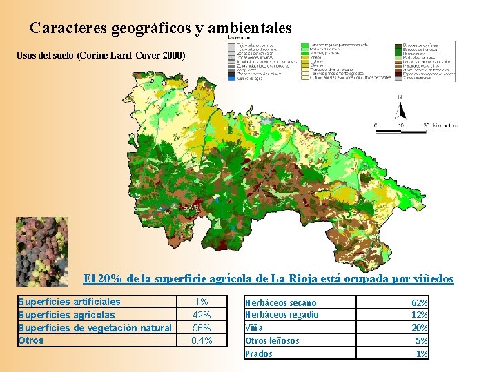 Caracteres geográficos y ambientales Usos del suelo (Corine Land Cover 2000) El 20% de