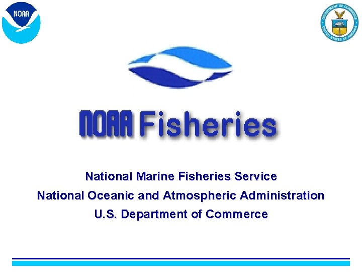 National Marine Fisheries Service National Oceanic and Atmospheric Administration U. S. Department of Commerce