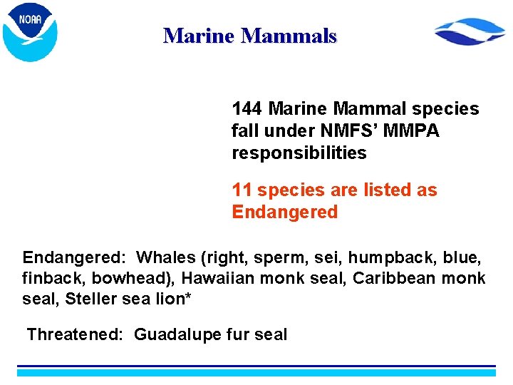 Marine Mammals 144 Marine Mammal species fall under NMFS’ MMPA responsibilities 11 species are