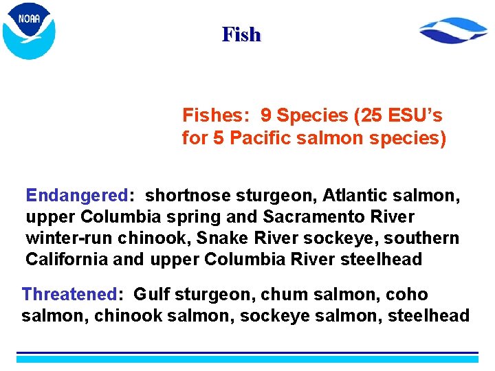 Fishes: 9 Species (25 ESU’s for 5 Pacific salmon species) Endangered: shortnose sturgeon, Atlantic