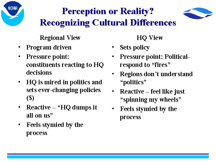 Perception or Reality? Recognizing Cultural Differences • • • Regional View Program driven Pressure