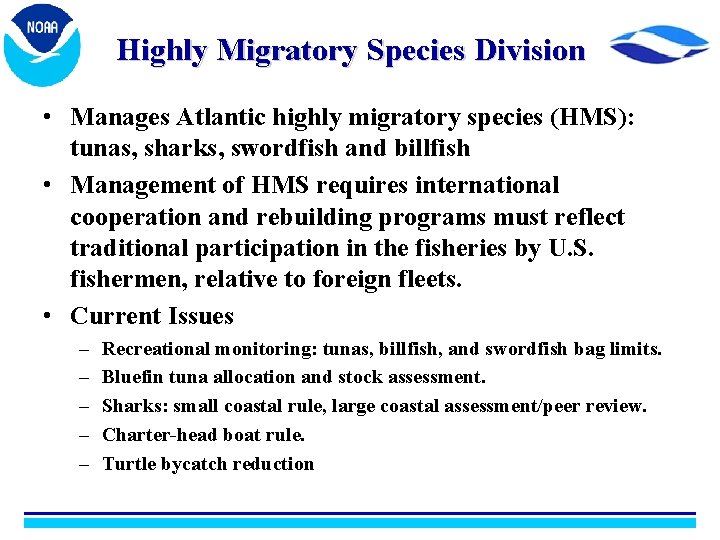 Highly Migratory Species Division • Manages Atlantic highly migratory species (HMS): tunas, sharks, swordfish