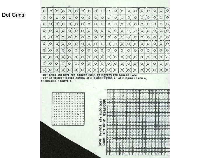Dot Grids 