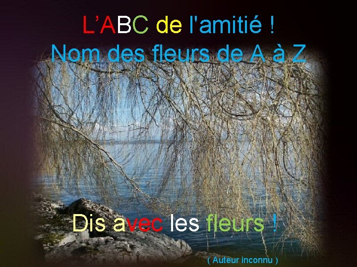 L’ABC de l'amitié ! Nom des fleurs de A à Z Dis avec les