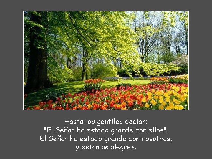 Hasta los gentiles decían: "El Señor ha estado grande con ellos". El Señor ha