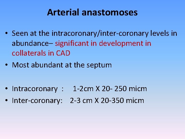 Arterial anastomoses • Seen at the intracoronary/inter-coronary levels in abundance– significant in development in