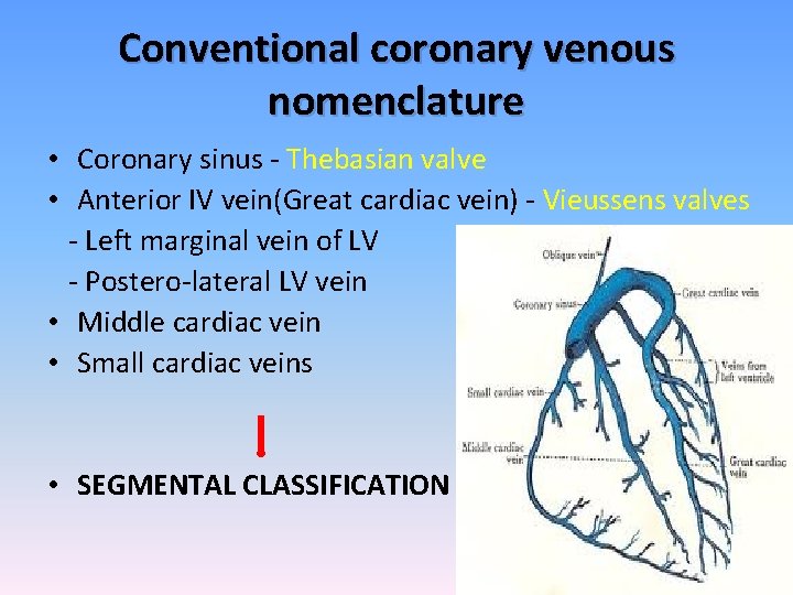 Conventional coronary venous nomenclature • Coronary sinus - Thebasian valve • Anterior IV vein(Great