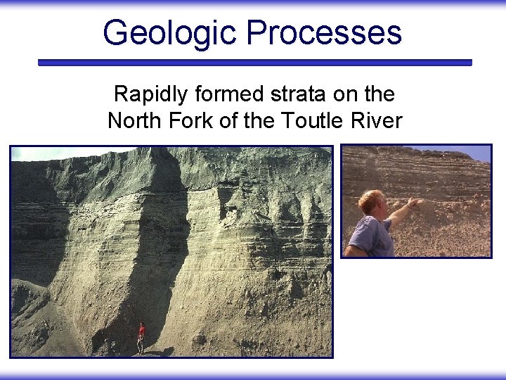 Geologic Processes Rapidly formed strata on the North Fork of the Toutle River 