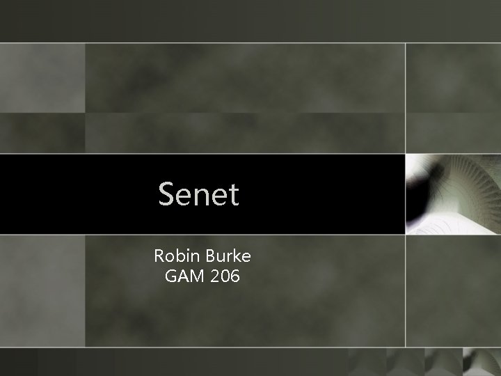 Senet Robin Burke GAM 206 