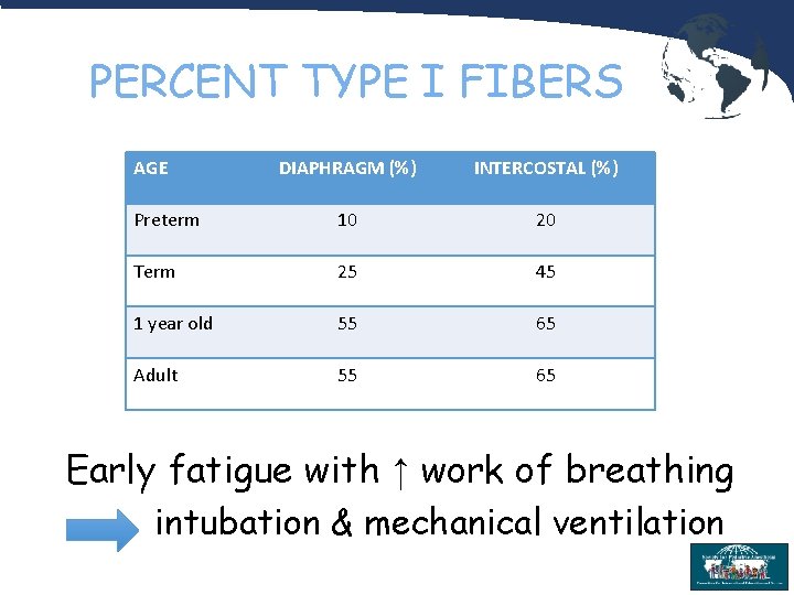 PERCENT TYPE I FIBERS AGE DIAPHRAGM (%) INTERCOSTAL (%) Preterm 10 20 Term 25