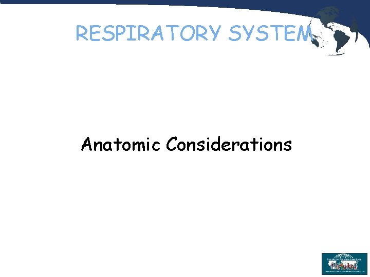 RESPIRATORY SYSTEM Anatomic Considerations 