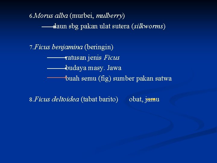 6. Morus alba (murbei, mulberry) daun sbg pakan ulat sutera (silkworms) 7. Ficus benjamina