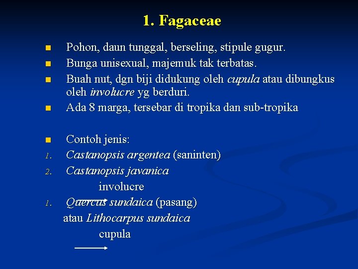 1. Fagaceae n n n 1. 2. 1. Pohon, daun tunggal, berseling, stipule gugur.