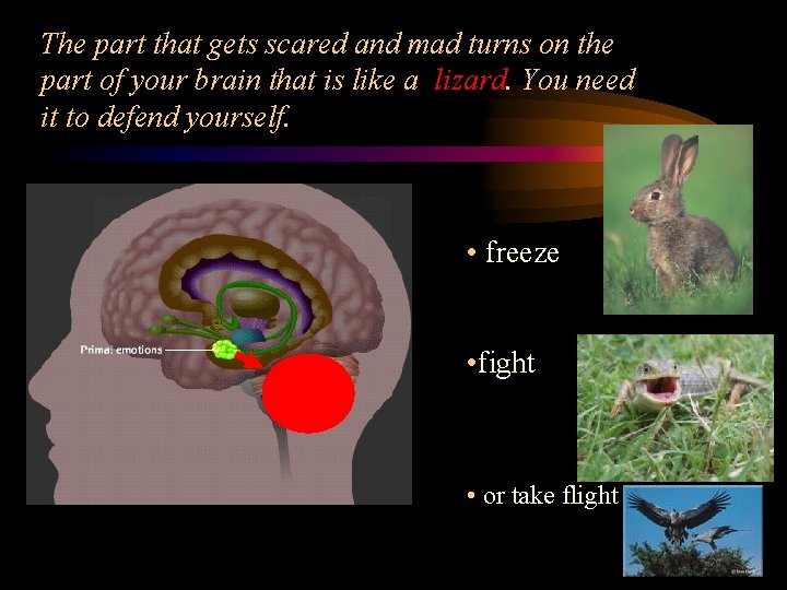 The part that gets scared and mad turns on the part of your brain