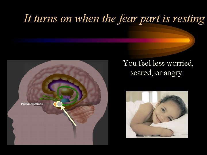 It turns on when the fear part is resting You feel less worried, scared,