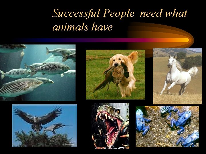 Successful People need what animals have 