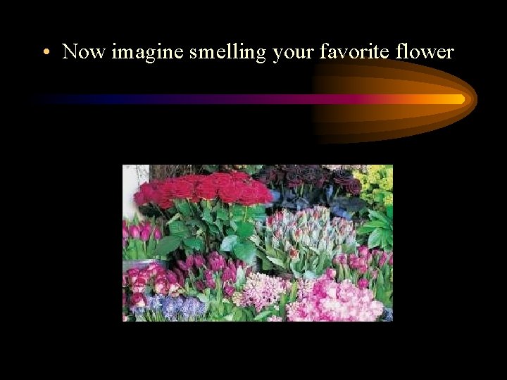  • Now imagine smelling your favorite flower 