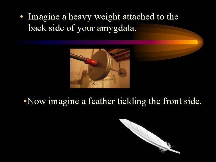  • Imagine a heavy weight attached to the back side of your amygdala.