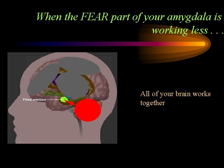 When the FEAR part of your amygdala is working less. . . All of