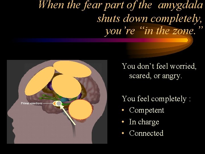 When the fear part of the amygdala shuts down completely, you’re “in the zone.