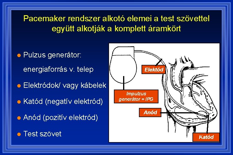 Pacemaker rendszer alkotó elemei a test szövettel együtt alkotják a komplett áramkört l Pulzus