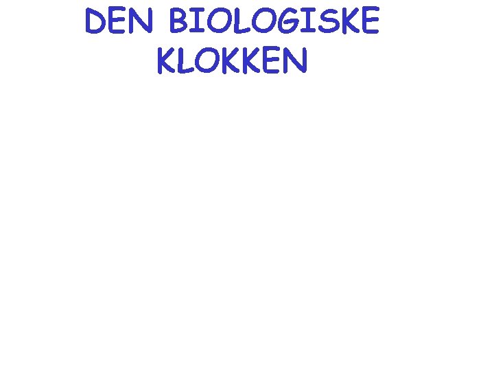 DEN BIOLOGISKE KLOKKEN 